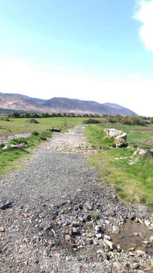 Neadin Beag Tralee Exterior foto